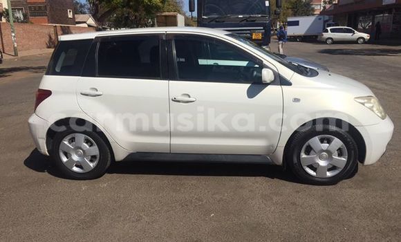 Tenga Tsaru Toyota IST Chena Mota in Alexandra Park in Harare Tenga Tsaru Toyota IST Chena Mota in Alexandra Park in Harare