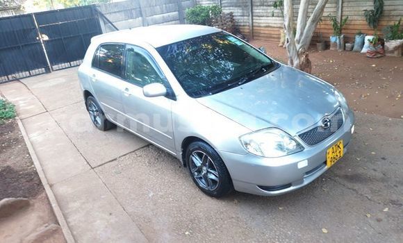 Buy Used Toyota Runx Silver Car in Harare in Harare Buy Used Toyota Runx Silver Car in Harare in Harare