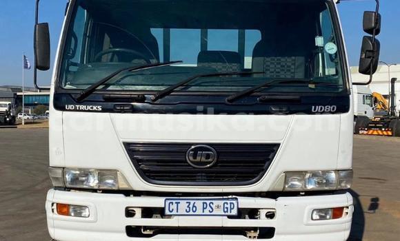 Buy Used Nissan UD White Truck in Beitbridge in Matabeleland South