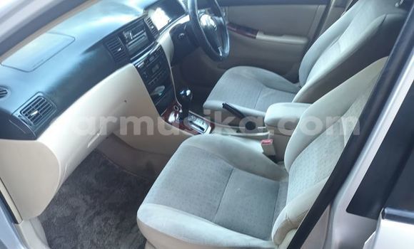 Buy Used Toyota Runx Silver Car in Harare in Harare Buy Used Toyota Runx Silver Car in Harare in Harare