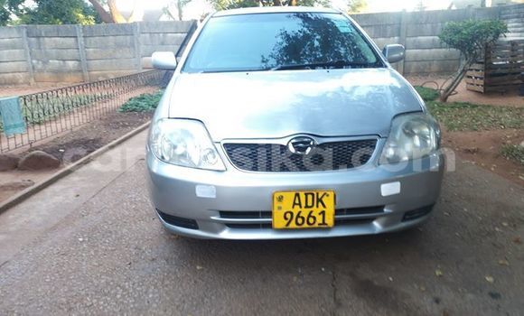 Buy Used Toyota Runx Silver Car in Harare in Harare Buy Used Toyota Runx Silver Car in Harare in Harare