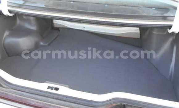 Nunua Ilio tumika Nissan Sunny Nyeupe Gari ndani ya Beitbridge nchini Matabeleland Kusini Nunua Ilio tumika Nissan Sunny Nyeupe Gari ndani ya Beitbridge nchini Matabeleland Kusini