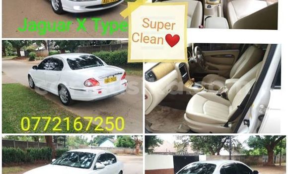 Buy Used Jaguar X–Type White Car in Harare in Harare Buy Used Jaguar X–Type White Car in Harare in Harare