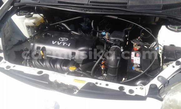 Tenga Tsaru Toyota IST Chena Mota in Alexandra Park in Harare Tenga Tsaru Toyota IST Chena Mota in Alexandra Park in Harare