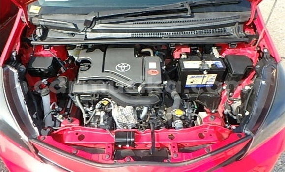 Acheter Occasion Voiture Toyota Vitz Rouge à Beitbridge, Matabeleland South Acheter Occasion Voiture Toyota Vitz Rouge à Beitbridge, Matabeleland South