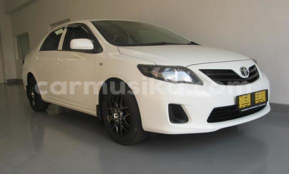 Buy Used Toyota Corolla White Car in Beitbridge in Matabeleland South