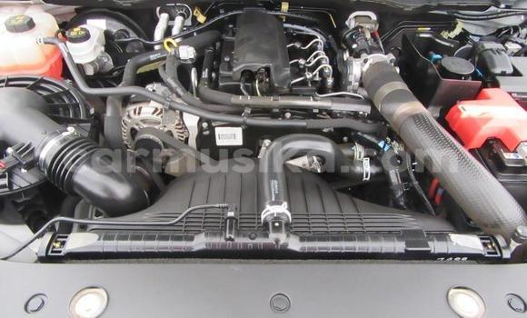 Tenga Tsaru Ford Ranger Chena Mota in Beitbridge in Matabeleland South Tenga Tsaru Ford Ranger Chena Mota in Beitbridge in Matabeleland South