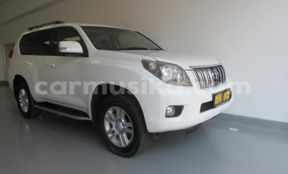 Buy Used Toyota Prado White Car in Beitbridge in Matabeleland South