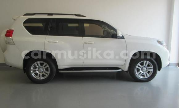 Tenga Tsaru Toyota Prado Chena Mota in Beitbridge in Matabeleland South Tenga Tsaru Toyota Prado Chena Mota in Beitbridge in Matabeleland South