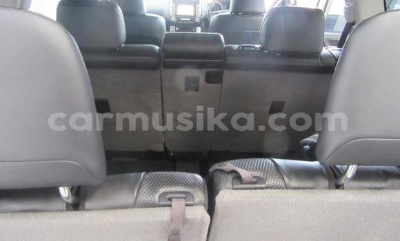 Tenga Tsaru Toyota Prado Chena Mota in Beitbridge in Matabeleland South Tenga Tsaru Toyota Prado Chena Mota in Beitbridge in Matabeleland South