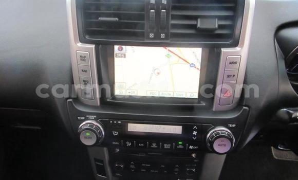 Tenga Tsaru Toyota Prado Chena Mota in Beitbridge in Matabeleland South Tenga Tsaru Toyota Prado Chena Mota in Beitbridge in Matabeleland South