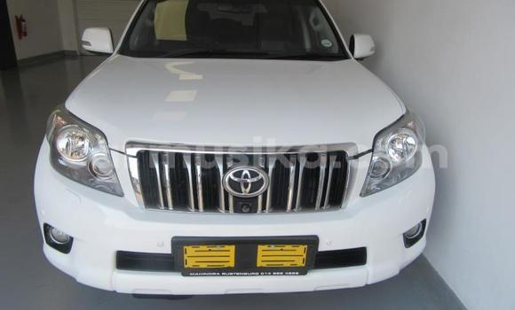 Tenga Tsaru Toyota Prado Chena Mota in Beitbridge in Matabeleland South Tenga Tsaru Toyota Prado Chena Mota in Beitbridge in Matabeleland South