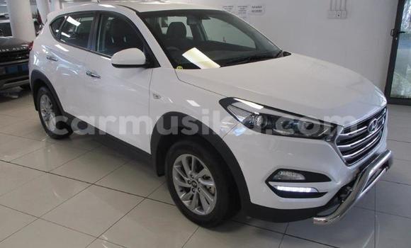 Buy Used Hyundai Tucson White Car in Beitbridge in Matabeleland South