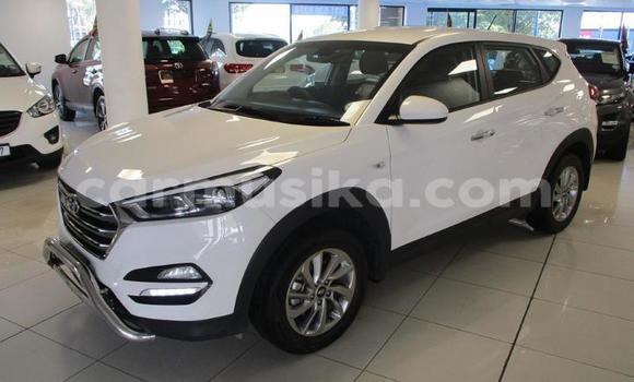 Acheter Occasion Voiture Hyundai Tucson Blanc à Beitbridge, Matabeleland South Acheter Occasion Voiture Hyundai Tucson Blanc à Beitbridge, Matabeleland South