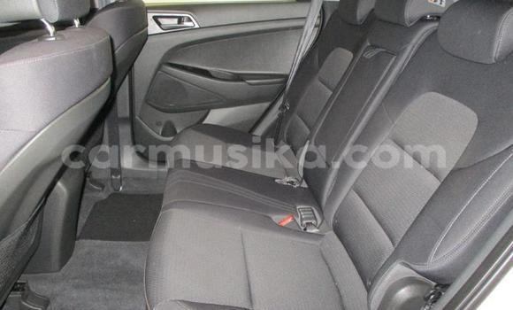 Acheter Occasion Voiture Hyundai Tucson Blanc à Beitbridge, Matabeleland South Acheter Occasion Voiture Hyundai Tucson Blanc à Beitbridge, Matabeleland South