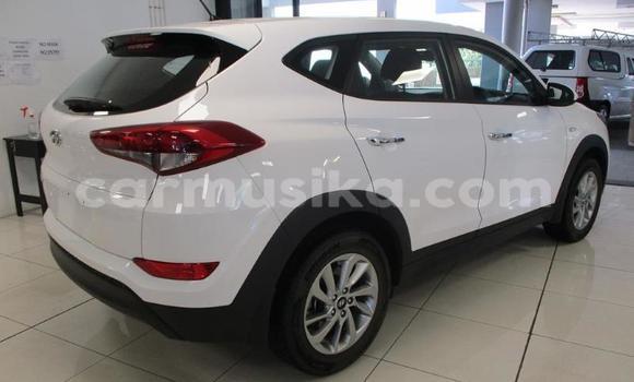 Acheter Occasion Voiture Hyundai Tucson Blanc à Beitbridge, Matabeleland South Acheter Occasion Voiture Hyundai Tucson Blanc à Beitbridge, Matabeleland South