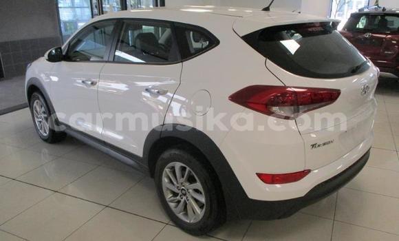 Acheter Occasion Voiture Hyundai Tucson Blanc à Beitbridge, Matabeleland South Acheter Occasion Voiture Hyundai Tucson Blanc à Beitbridge, Matabeleland South