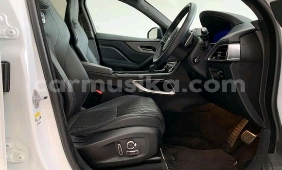 Acheter Occasion Voiture Jaguar F-Pace Blanc à Bulawayo, Bulawayo Acheter Occasion Voiture Jaguar F-Pace Blanc à Bulawayo, Bulawayo