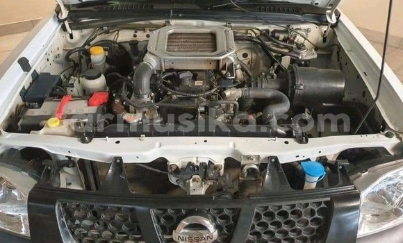 Acheter Occasion Voiture Nissan NP 300 Blanc à Beitbridge, Matabeleland South Acheter Occasion Voiture Nissan NP 300 Blanc à Beitbridge, Matabeleland South