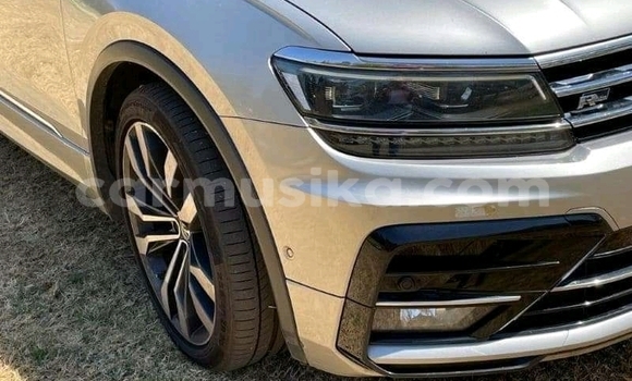 Buy Used Volkswagen Tiguan Silver Car in Borrowdale in Harare Buy Used Volkswagen Tiguan Silver Car in Borrowdale in Harare