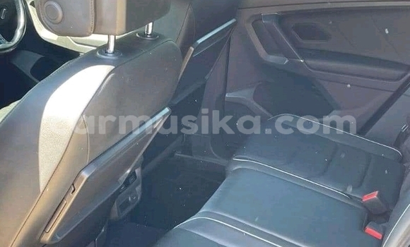 Buy Used Volkswagen Tiguan Silver Car in Borrowdale in Harare Buy Used Volkswagen Tiguan Silver Car in Borrowdale in Harare