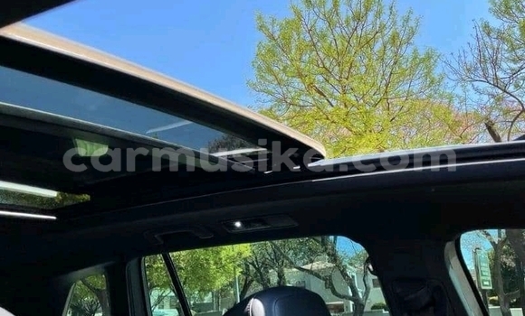 Buy Used Volkswagen Tiguan Silver Car in Borrowdale in Harare Buy Used Volkswagen Tiguan Silver Car in Borrowdale in Harare