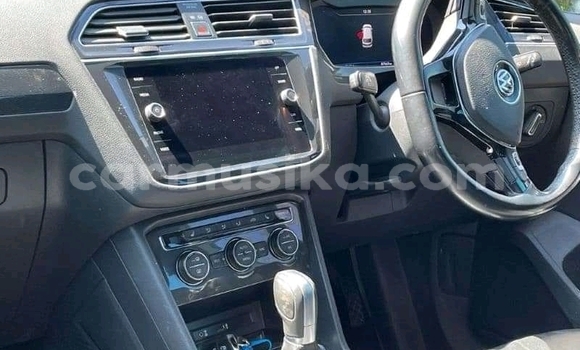 Buy Used Volkswagen Tiguan Silver Car in Borrowdale in Harare Buy Used Volkswagen Tiguan Silver Car in Borrowdale in Harare
