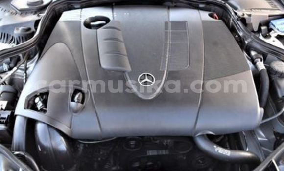 Tenga Tsaru Mercedes-Benz E-Classe Sirivha Mota in Beitbridge in Matabeleland South Tenga Tsaru Mercedes-Benz E-Classe Sirivha Mota in Beitbridge in Matabeleland South