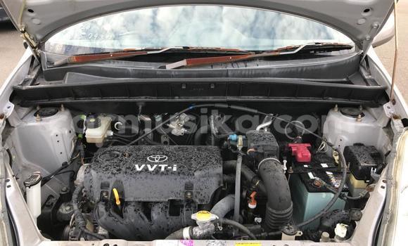 Buy Used Toyota FunCargo Other Car in Beitbridge in Matabeleland South Buy Used Toyota FunCargo Other Car in Beitbridge in Matabeleland South