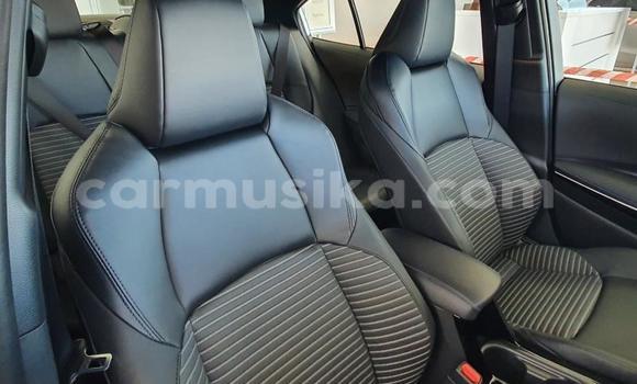 Nunua Ilio tumika Toyota Corolla Nyeupe Gari ndani ya Beitbridge nchini Matabeleland Kusini Nunua Ilio tumika Toyota Corolla Nyeupe Gari ndani ya Beitbridge nchini Matabeleland Kusini