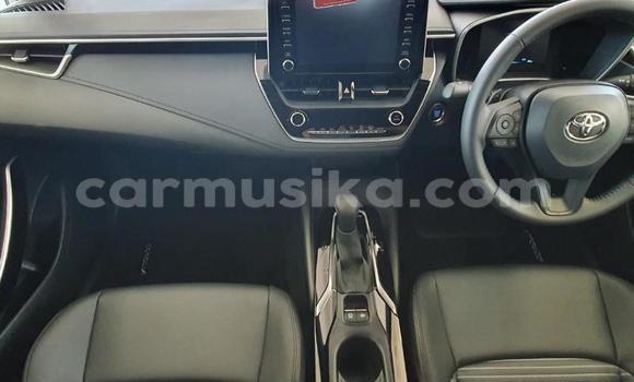 Nunua Ilio tumika Toyota Corolla Nyeupe Gari ndani ya Beitbridge nchini Matabeleland Kusini Nunua Ilio tumika Toyota Corolla Nyeupe Gari ndani ya Beitbridge nchini Matabeleland Kusini