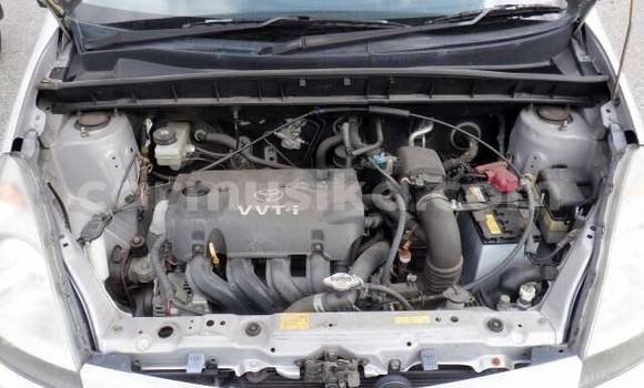 Buy Used Toyota FunCargo Other Car in Beitbridge in Matabeleland South Buy Used Toyota FunCargo Other Car in Beitbridge in Matabeleland South