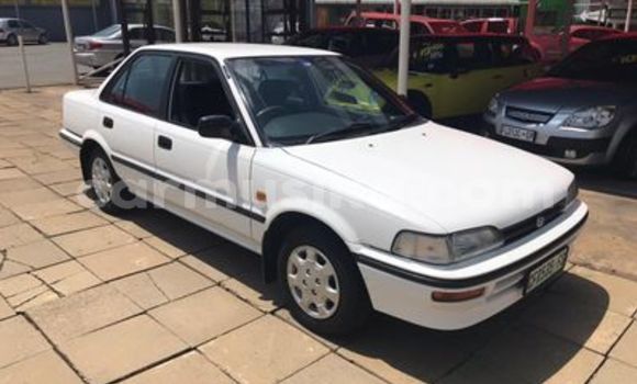 Buy Used Toyota Corolla White Car in Beitbridge in Matabeleland South
