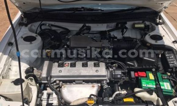 Acheter Occasion Voiture Toyota Corolla Blanc à Beitbridge, Matabeleland South Acheter Occasion Voiture Toyota Corolla Blanc à Beitbridge, Matabeleland South