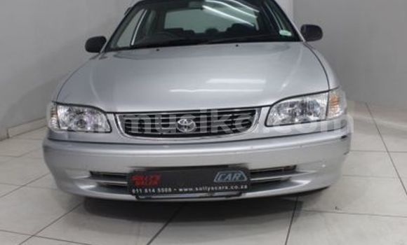 Nunua Ilio tumika Toyota Corolla Fedha Gari ndani ya Beitbridge nchini Matabeleland Kusini