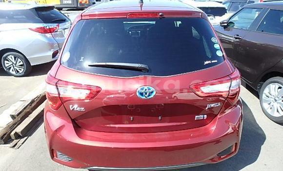 Acheter Occasion Voiture Toyota Yaris Rouge à Beitbridge, Matabeleland South Acheter Occasion Voiture Toyota Yaris Rouge à Beitbridge, Matabeleland South