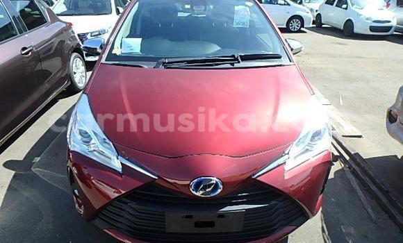 Acheter Occasion Voiture Toyota Yaris Rouge à Beitbridge, Matabeleland South Acheter Occasion Voiture Toyota Yaris Rouge à Beitbridge, Matabeleland South