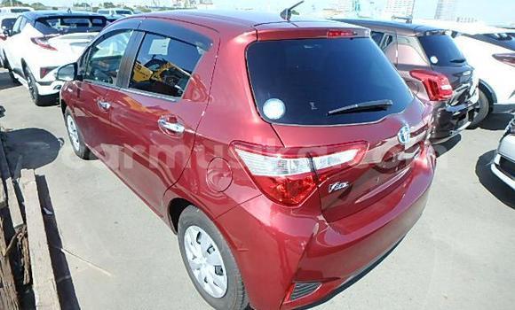 Acheter Occasion Voiture Toyota Yaris Rouge à Beitbridge, Matabeleland South Acheter Occasion Voiture Toyota Yaris Rouge à Beitbridge, Matabeleland South