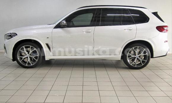 Buy Used BMW X5 White Car in Beitbridge in Matabeleland South