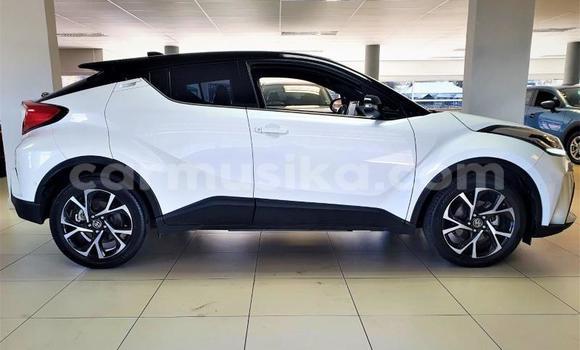 Tenga Tsaru Toyota C-HR Chena Mota in Beitbridge in Matabeleland South