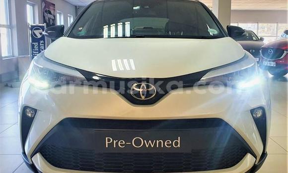 Tenga Tsaru Toyota C-HR Chena Mota in Beitbridge in Matabeleland South Tenga Tsaru Toyota C-HR Chena Mota in Beitbridge in Matabeleland South