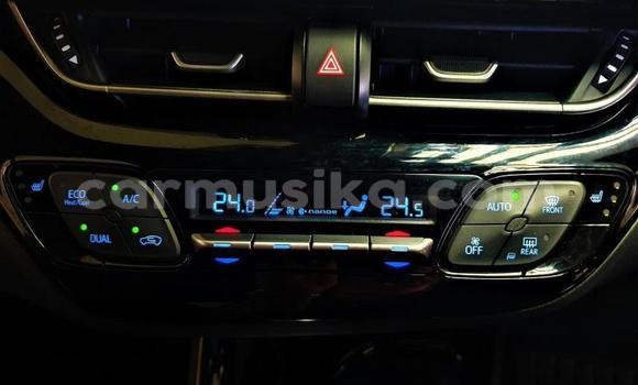 Tenga Tsaru Toyota C-HR Chena Mota in Beitbridge in Matabeleland South Tenga Tsaru Toyota C-HR Chena Mota in Beitbridge in Matabeleland South