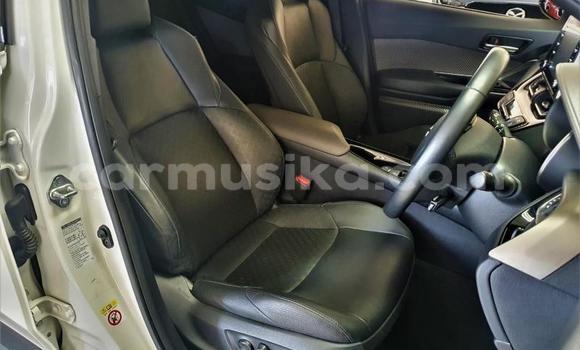 Tenga Tsaru Toyota C-HR Chena Mota in Beitbridge in Matabeleland South Tenga Tsaru Toyota C-HR Chena Mota in Beitbridge in Matabeleland South