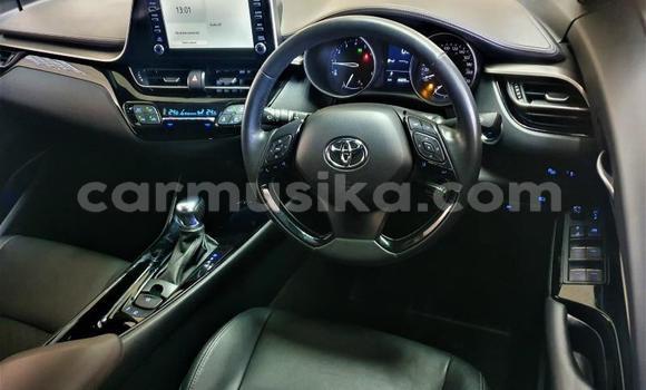 Tenga Tsaru Toyota C-HR Chena Mota in Beitbridge in Matabeleland South Tenga Tsaru Toyota C-HR Chena Mota in Beitbridge in Matabeleland South