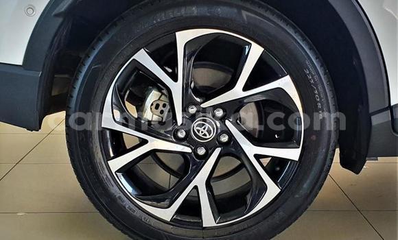 Tenga Tsaru Toyota C-HR Chena Mota in Beitbridge in Matabeleland South Tenga Tsaru Toyota C-HR Chena Mota in Beitbridge in Matabeleland South