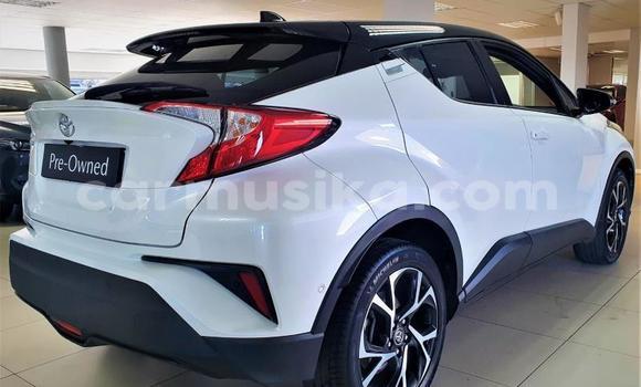 Tenga Tsaru Toyota C-HR Chena Mota in Beitbridge in Matabeleland South Tenga Tsaru Toyota C-HR Chena Mota in Beitbridge in Matabeleland South