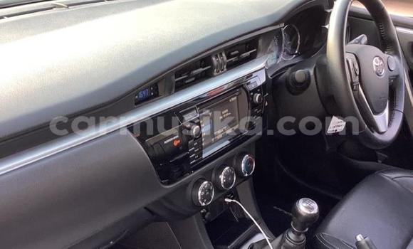 Acheter Occasion Voiture Toyota Corolla Blanc à Beitbridge, Matabeleland South Acheter Occasion Voiture Toyota Corolla Blanc à Beitbridge, Matabeleland South