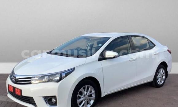 Acheter Occasion Voiture Toyota Corolla Blanc à Beitbridge, Matabeleland South Acheter Occasion Voiture Toyota Corolla Blanc à Beitbridge, Matabeleland South