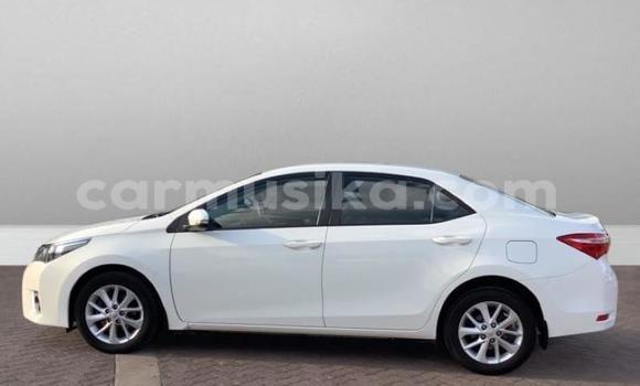 Acheter Occasion Voiture Toyota Corolla Blanc à Beitbridge, Matabeleland South Acheter Occasion Voiture Toyota Corolla Blanc à Beitbridge, Matabeleland South