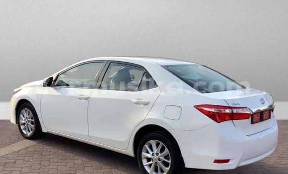 Acheter Occasion Voiture Toyota Corolla Blanc à Beitbridge, Matabeleland South Acheter Occasion Voiture Toyota Corolla Blanc à Beitbridge, Matabeleland South